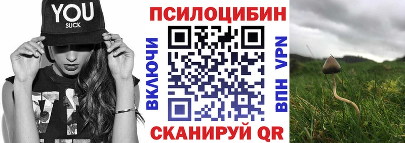 Псилоцибиновые грибы Psilocybe  продажа наркотиков  Хасавюрт 
