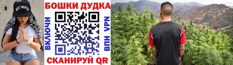 наркотики  Хасавюрт  Марихуана гибрид 